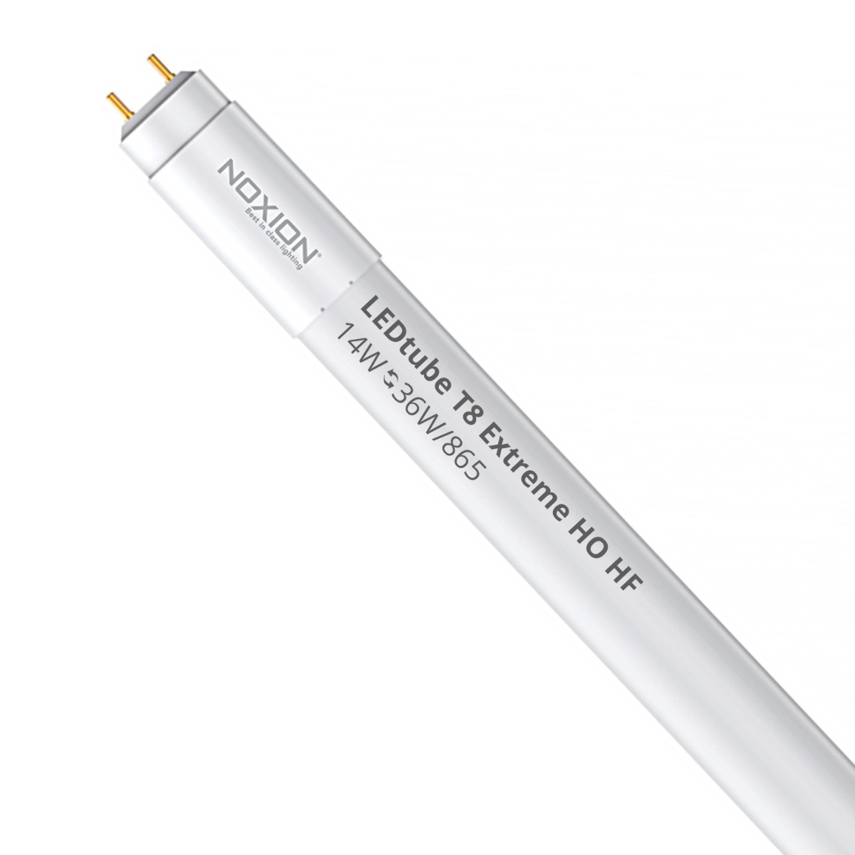 Noxion LED Röhre T8 Avant Extreme (HF) High Output 14W 2100lm - 865 Tageslichtweiß | 120cm - Ersatz für 36W