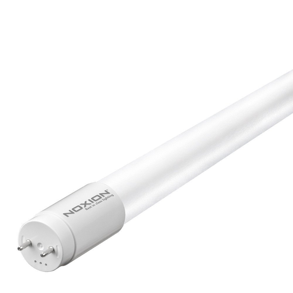Noxion LED Röhre T8 Avant (EM/Mains) Standard Output 19W 2300lm - 840 Kaltweiß | 150cm - Ersatz Für 58W – Ansicht 3