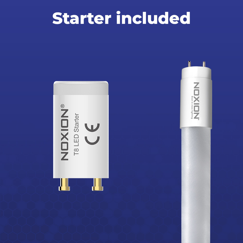 Noxion LED Röhre T8 Avant (EM/Mains) Standard Output 19W 2300lm - 840 Kaltweiß | 150cm - Ersatz Für 58W – Ansicht 10